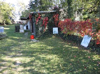 DSC03511