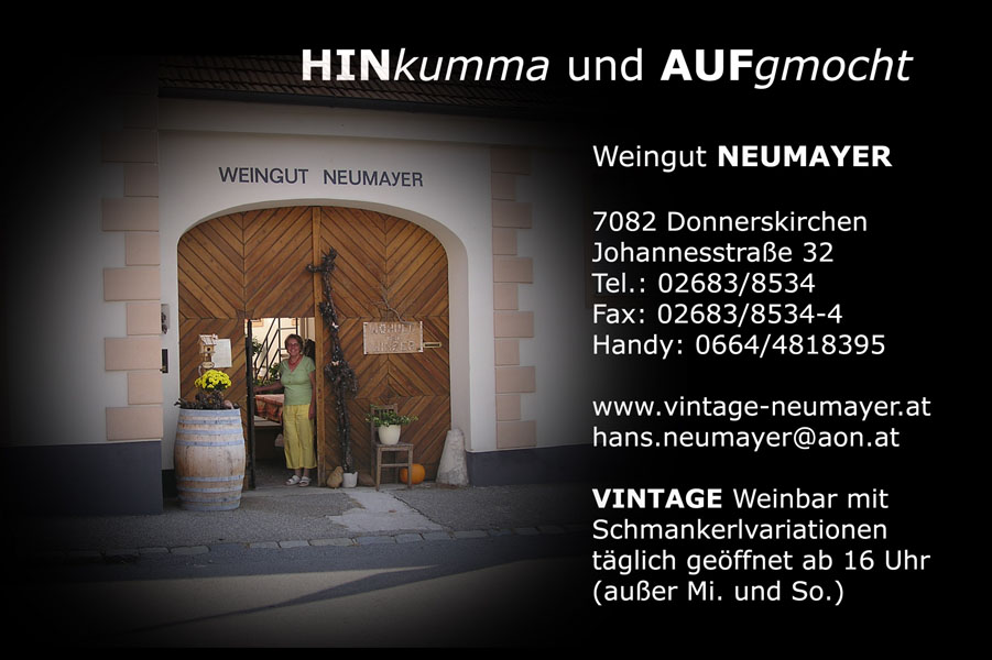 Hans Neumayer Kopie 11