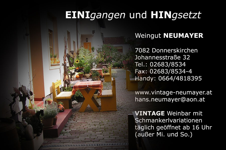 Hans Neumayer Kopie 8