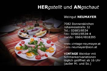Hans Neumayer Kopie 10