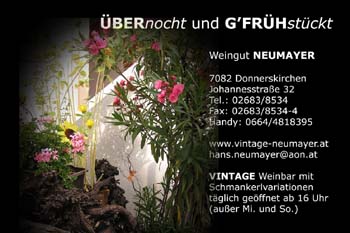 Hans Neumayer Kopie 12