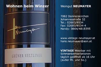 Hans Neumayer Kopie 6
