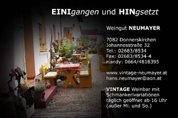 Hans Neumayer Kopie 8